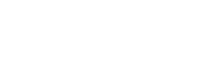 The Fun Pimps