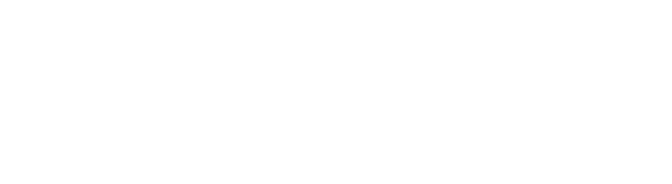 Pocketpair