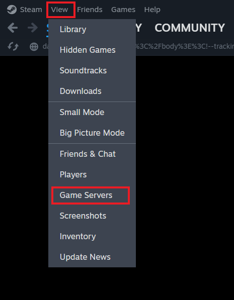 Steam server Listing.png